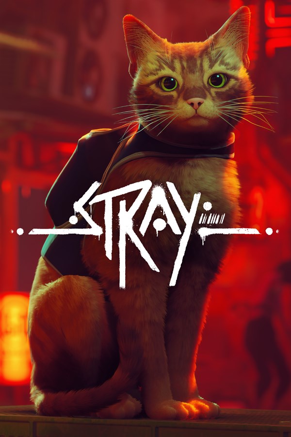 Stray اكس بوكس حساب جديد