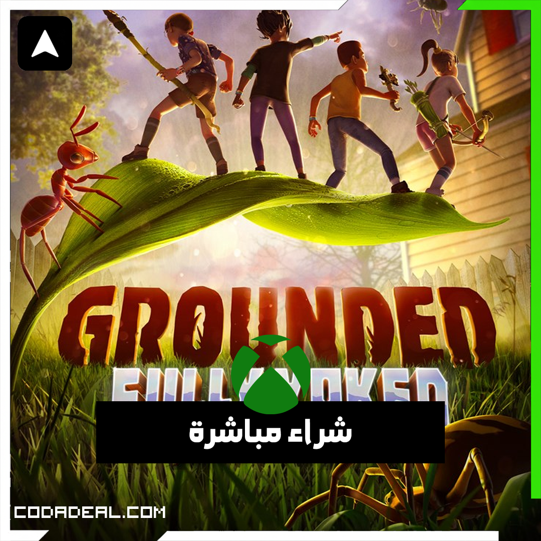 Grounded شراء مباشرة